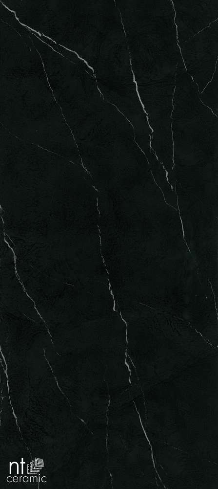 Nero Marquina (1200x2700)