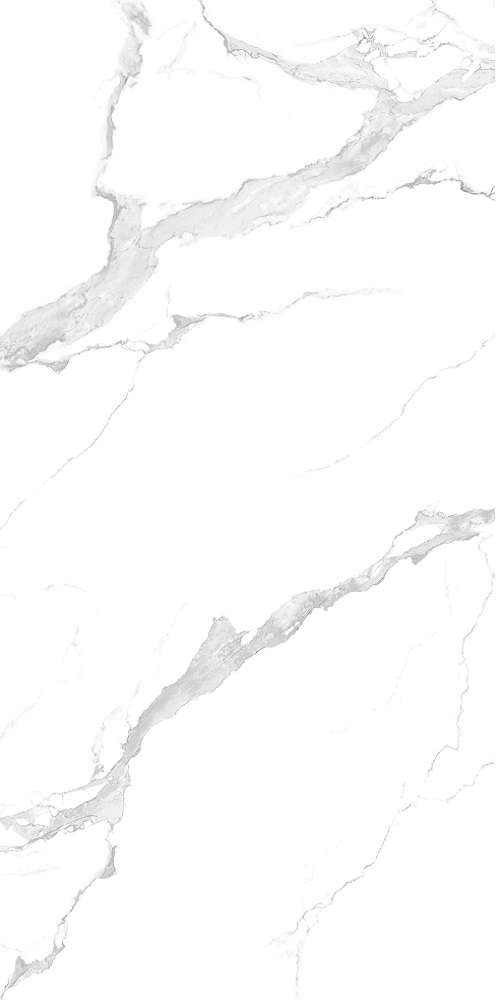 Bianco Carrara  (1200x2400)