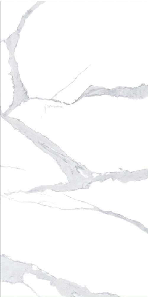 Bianco Statuario  (1200x2400)