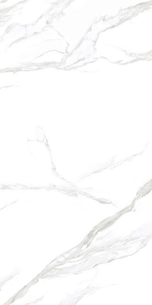 NTT3009M Керамогранит NT Ceramic Statuario Mat 120x240 (1200x2400)