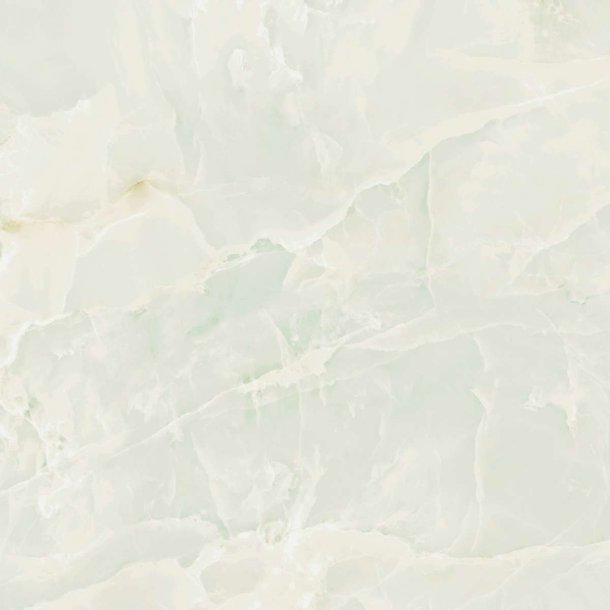 Ivory Pulido 120x120 (1200x1200)