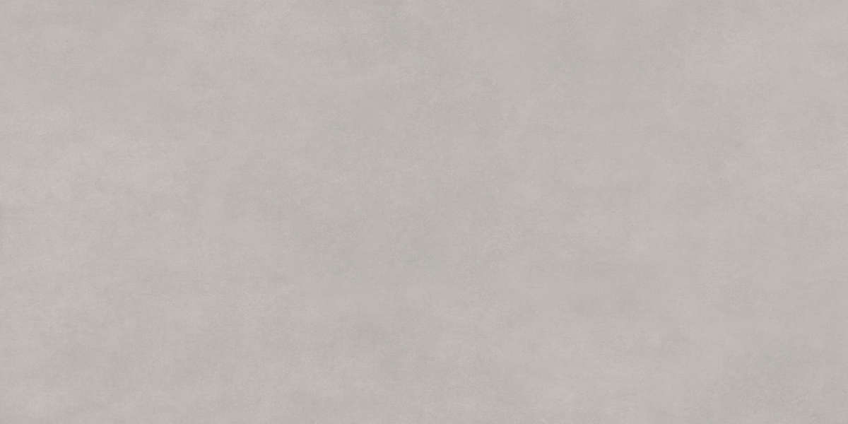 Cement Gray Матовый 60x120 (1200x600)