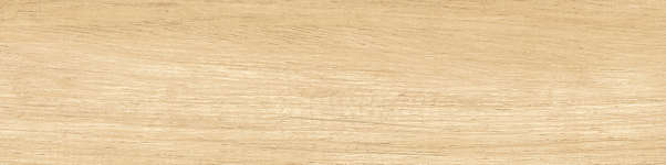 New Trend Sunbau Oak  15.1x60.2 -19