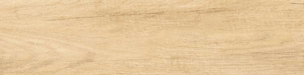 New Trend Sunbau Oak  15.1x60.2 -24