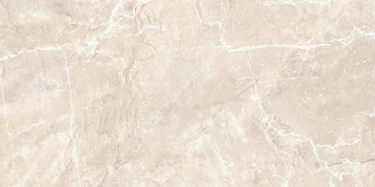 New Trend Terra Beige  60x120 7