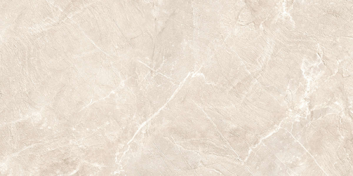 New Trend Terra Beige  60x120 7 -5