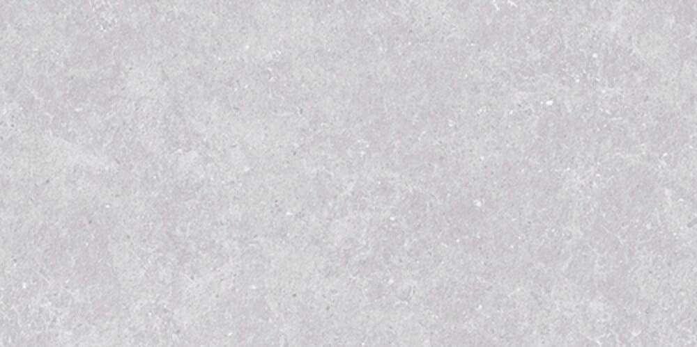 Light Gray Semi Polish Rect 60120 (1200x600)