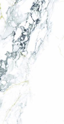 Оушен Керамика 60x120 Element Calacutta Матовый 60х120