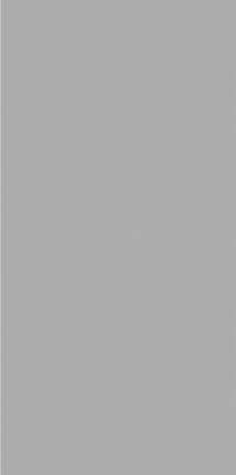 Оушен Керамика 60x120 Exotic Light Grey Матовый 60х120х4.8