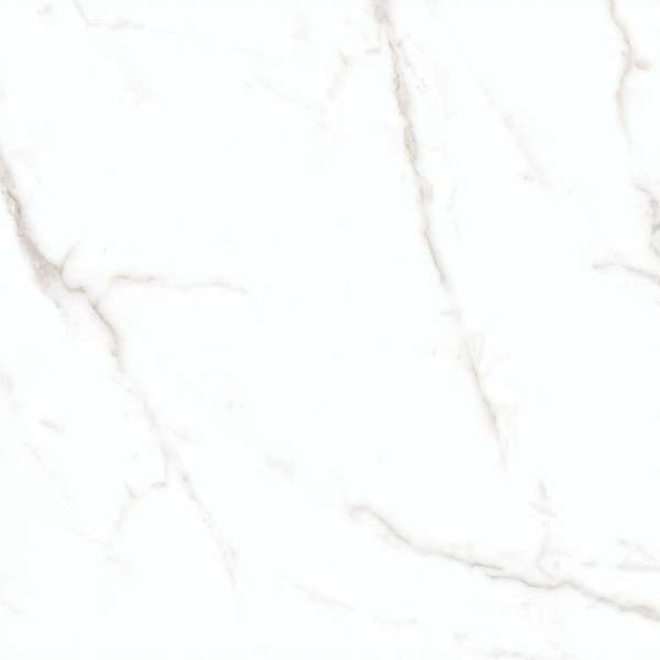 Calcatte White matt (600x600)