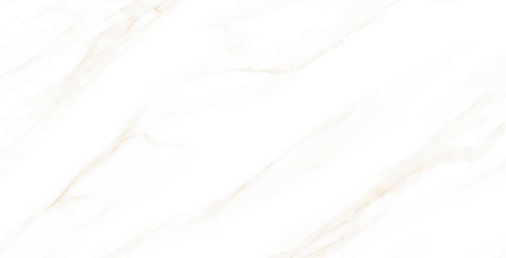 Onlygres Marble MOG102 White 120x60  . -3