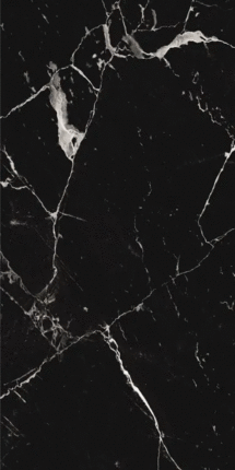 Протайлс Marble Noir Polished 9mm 60x120