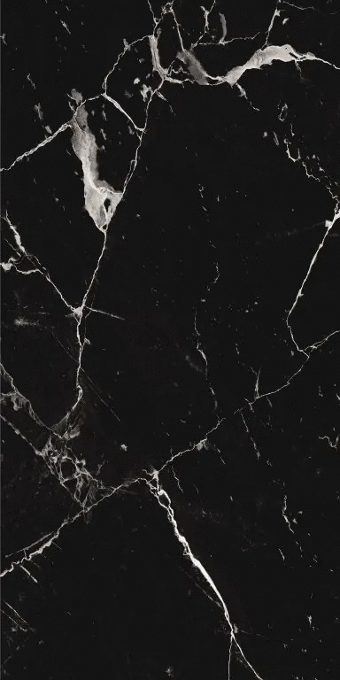 Noir Polished 9mm 60x120 (600x1200)