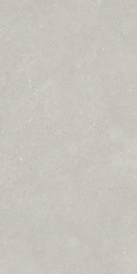 Light Grey Matt 9mm 60x120 (600x1200)