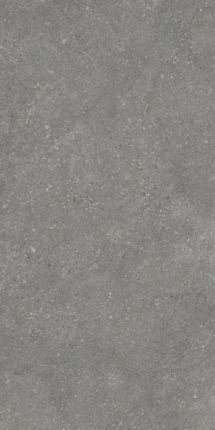 Протайлс Pietra Grey Matt 9mm 60x120