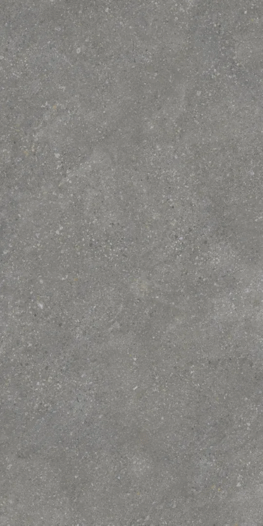 Grey Matt 9mm 60x120 (600x1200)