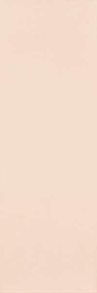 Керамогранит Paradyz Amelia Coral Rekt 25x75  (250x750)