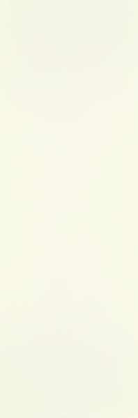 Керамогранит Paradyz Intense Tone Bianco Rekt. Mat 29.8x89.8 (298x898)