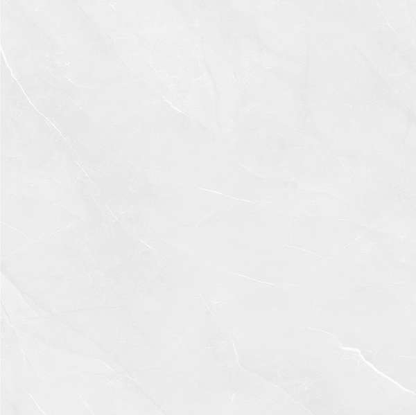 Pardis Ceramic Pazh Fluorite 166513 Polished 60x60 -4