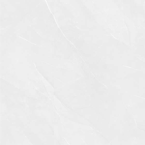 Pardis Ceramic Pazh Fluorite 166513 Polished 60x60 -5