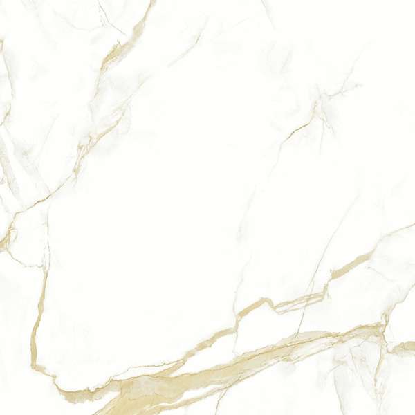 Pardis Ceramic Pazh Helion P16604 Polished 60x60 -2