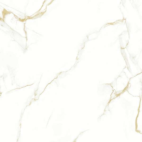 Pardis Ceramic Pazh Helion P16604 Polished 60x60 -3