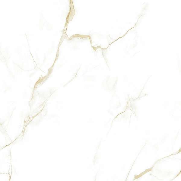 Pardis Ceramic Pazh Helion P16604 Polished 60x60 -4