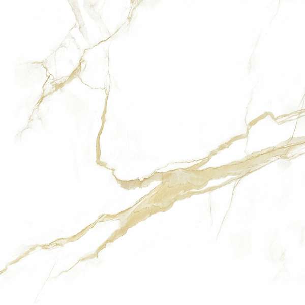 Pardis Ceramic Pazh Helion P16604 Polished 60x60 -5