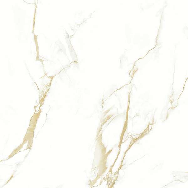 Pardis Ceramic Pazh Helion P16604 Polished 60x60 -6