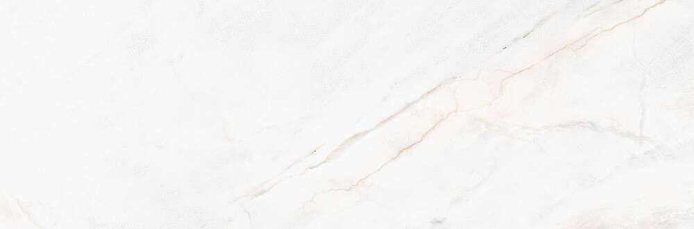 White SP 33.3х100 M-96 (1000x333)