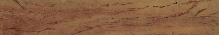 Peronda FS Forest Plank Natural