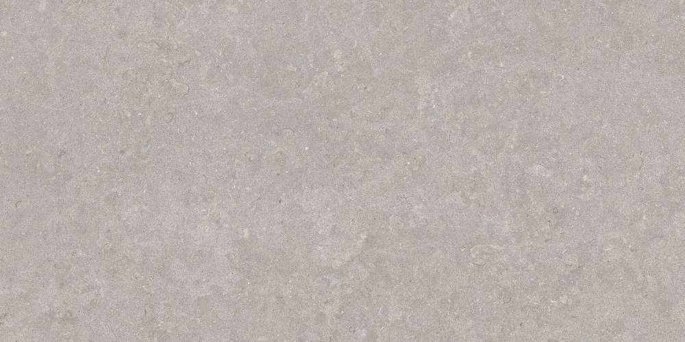 31751 Керамогранит Peronda Grey AS 60x120 (1200x600)