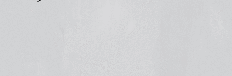 Перонда Palette Fog R