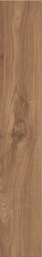 06346 Керамогранит Piemme Solonoce Americano Nat Ret 20x120 (200x1200)