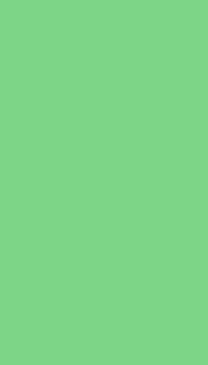 Зеленая (200x330)
