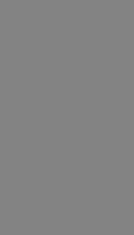 Темно-Серая (200x330)