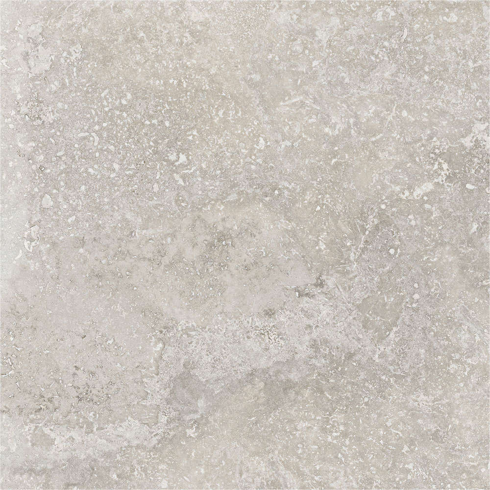 Porcelanite Dos Rapolano 1867 Grey Rect. 100x100 -5