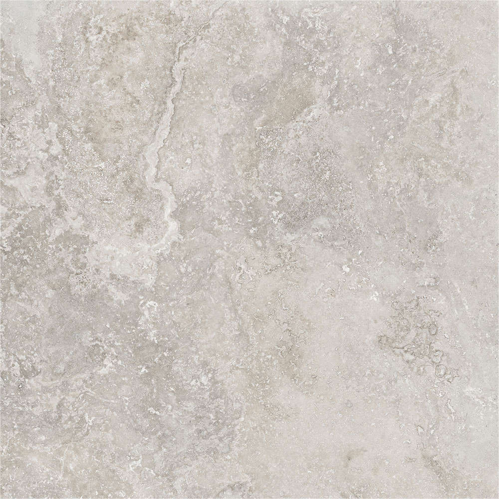 Porcelanite Dos Rapolano 1867 Grey Rect. 100x100 -9