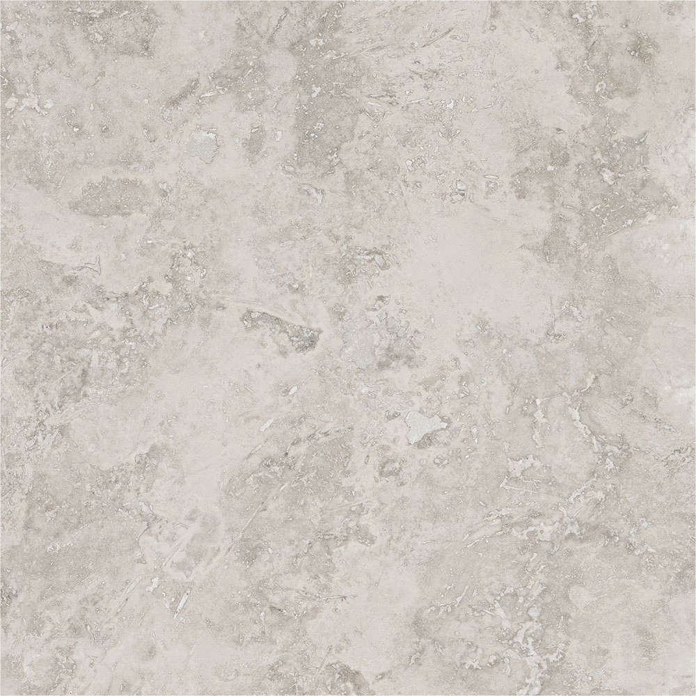 Porcelanite Dos Rapolano 1867 Grey Rect. 100x100 -10