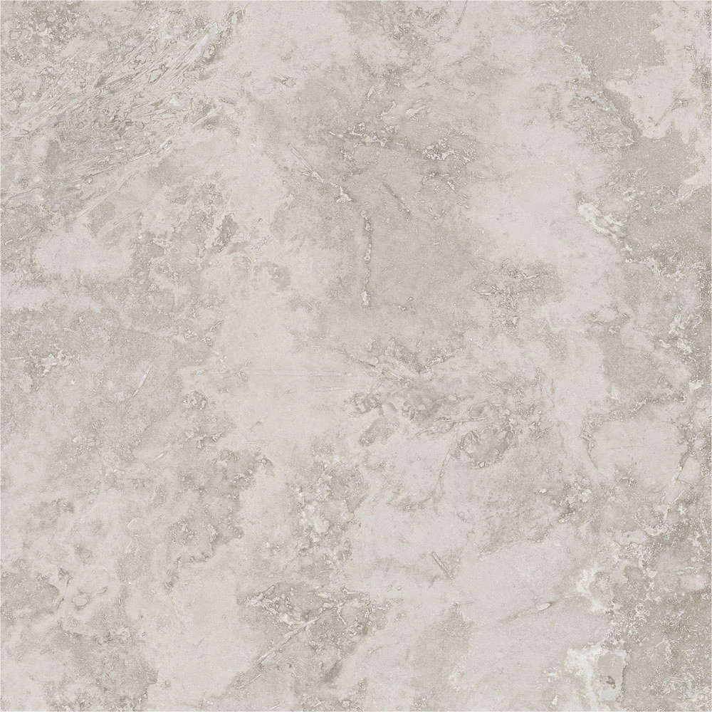 Porcelanite Dos Rapolano 1867 Grey Rect. 100x100 -13