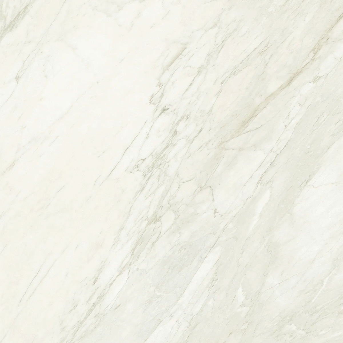 White Polished 120x120 (1200x1200)