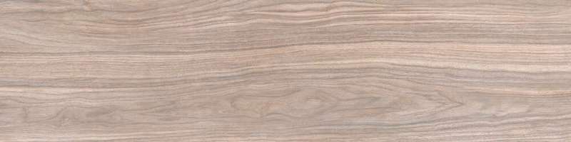 Gold Terra (800x200)