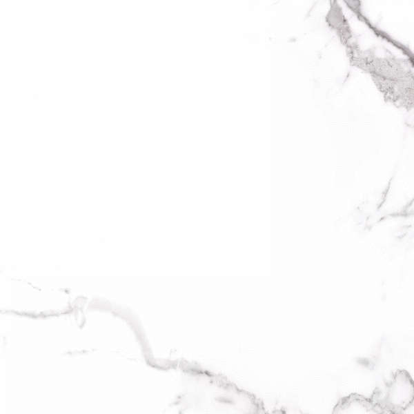 Carrara 60x60 Матовый (600x600)