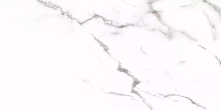 Prime Ceramics Carrara Carrara 120x60  -6