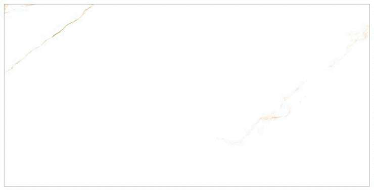 Призмакер Aire Gold 60x120x0.9