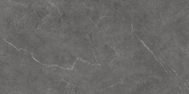 Protiles Alicante Grey Matt 60х120