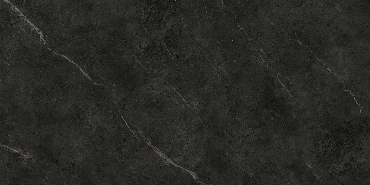 Protiles Alicante Black Matt 60х120 фото-3