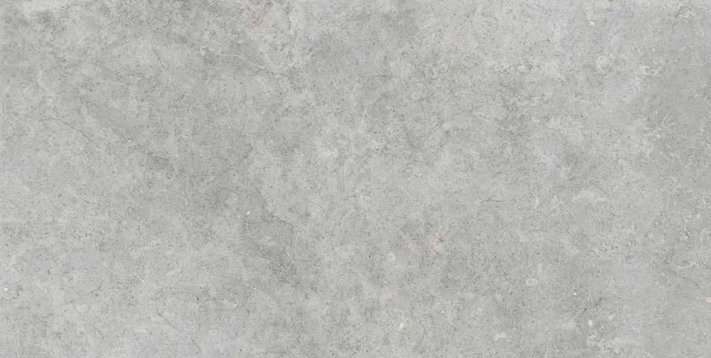 Silver Rett 60x120 (1200x600)