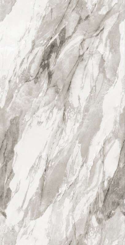 Realistik Bergen Polished Silver Carving 60x120 -2