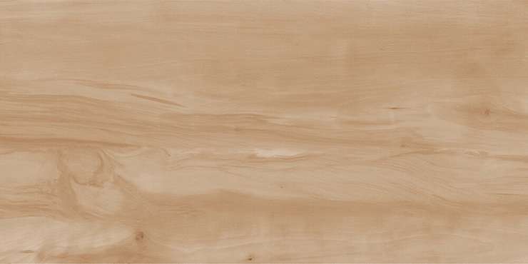 Реалистик Paint Wood Bone Matt 60x120